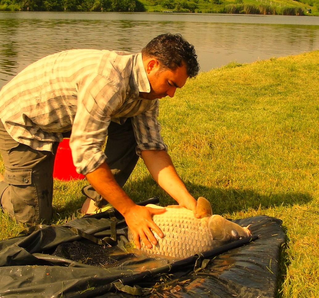 Moara Vlasiei 2 13 - 14 iunie 2014 - 5.JPG